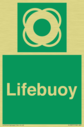 lifebuoy-with-symbol~